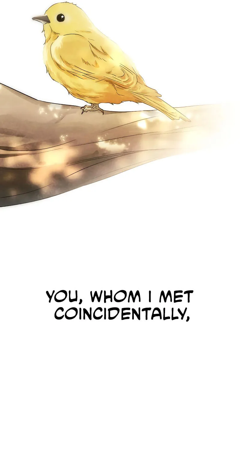 I Tamed My Ex-Husband's Mad Dog Chapter 76 page 33 - 