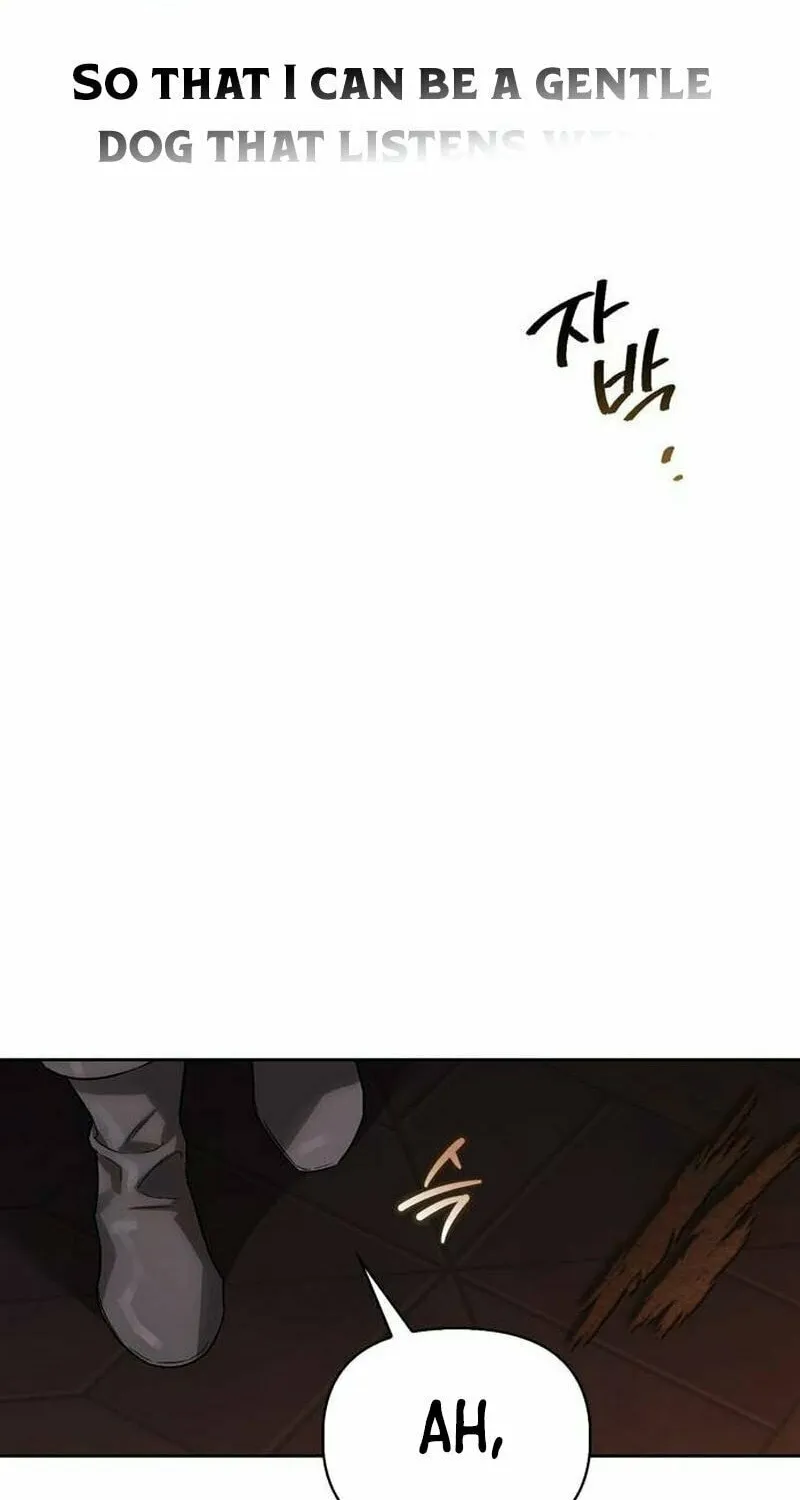 I Tamed My Ex-Husband's Mad Dog Chapter 79 page 95 - 