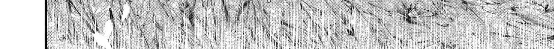 I Think I'll Cheat to Become a Spellsword in Another World Chapter 151 page 22 - 