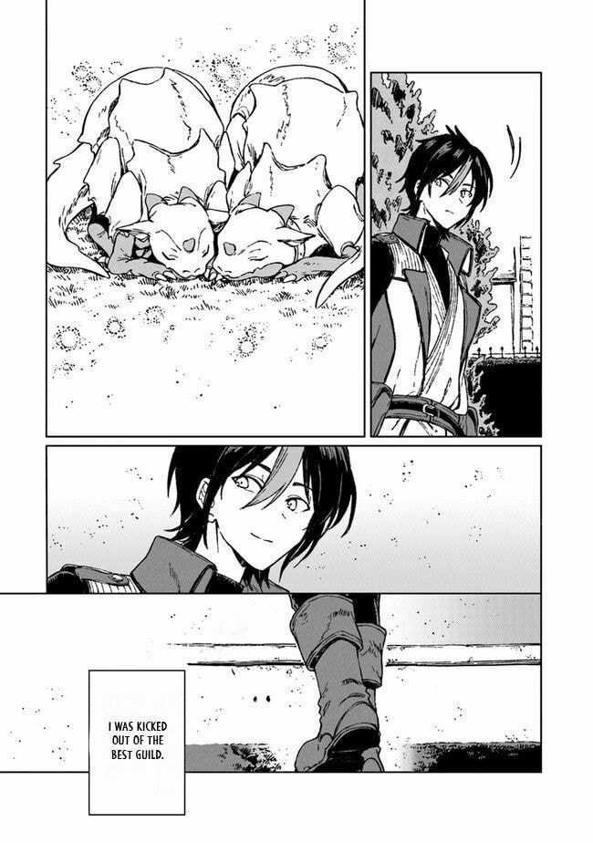 I've Been Kicked Out of an S-Rank Guild. But Only I Can Communicate With Dragons. Before I Knew It, I Became the Greatest Dragon Knight Chapter 44 page 41 - 