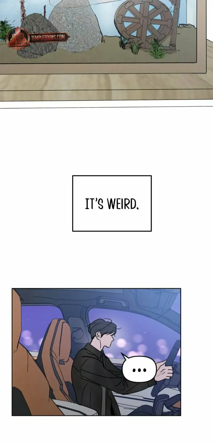 I Want to Be Fooled Chapter 11 page 41 - 