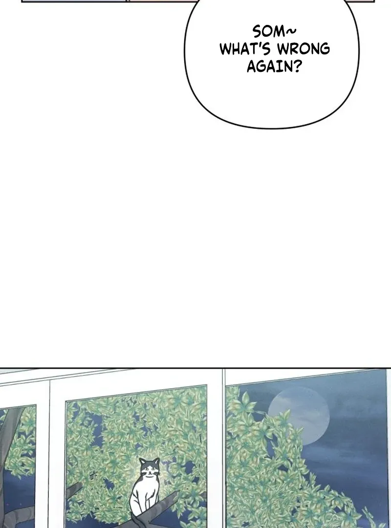 I Want to Be Fooled Chapter 21 page 36 - 