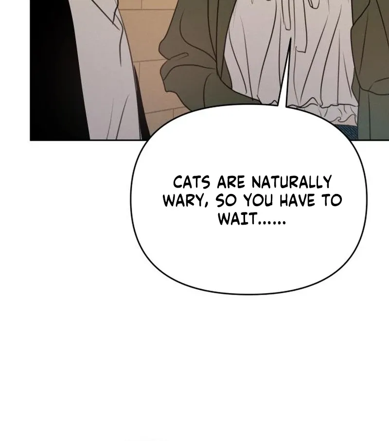 I Want to Be Fooled Chapter 21 page 47 - 