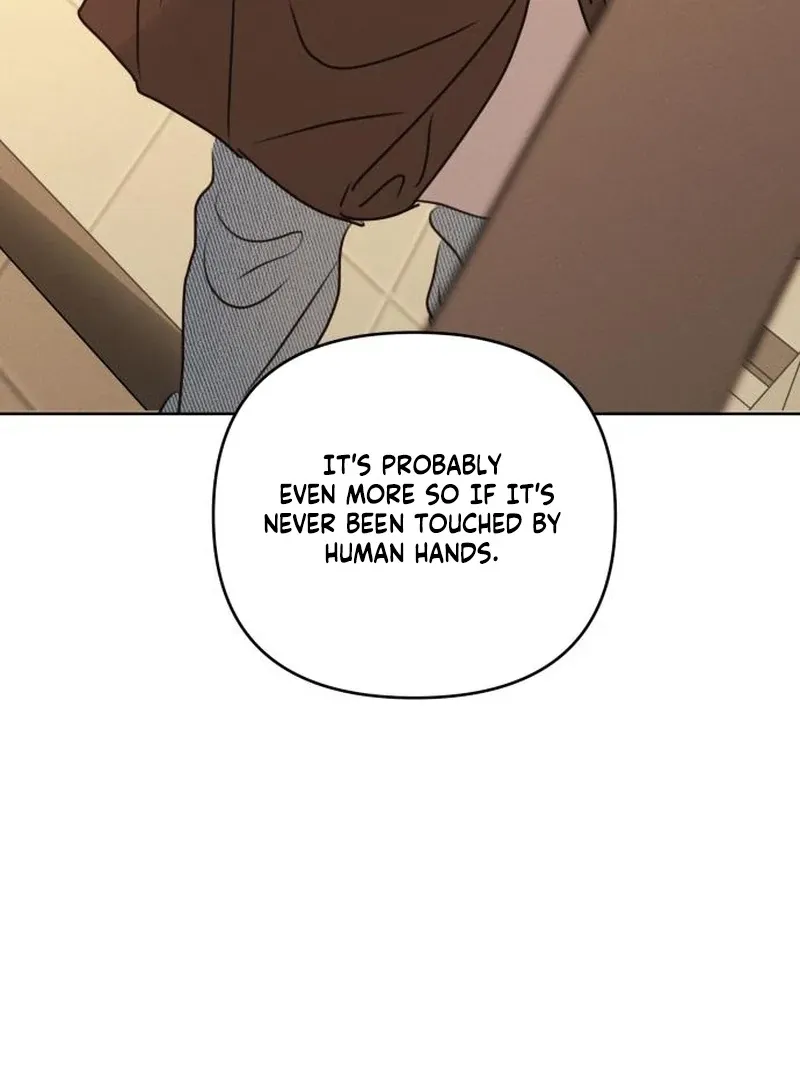 I Want to Be Fooled Chapter 21 page 51 - 