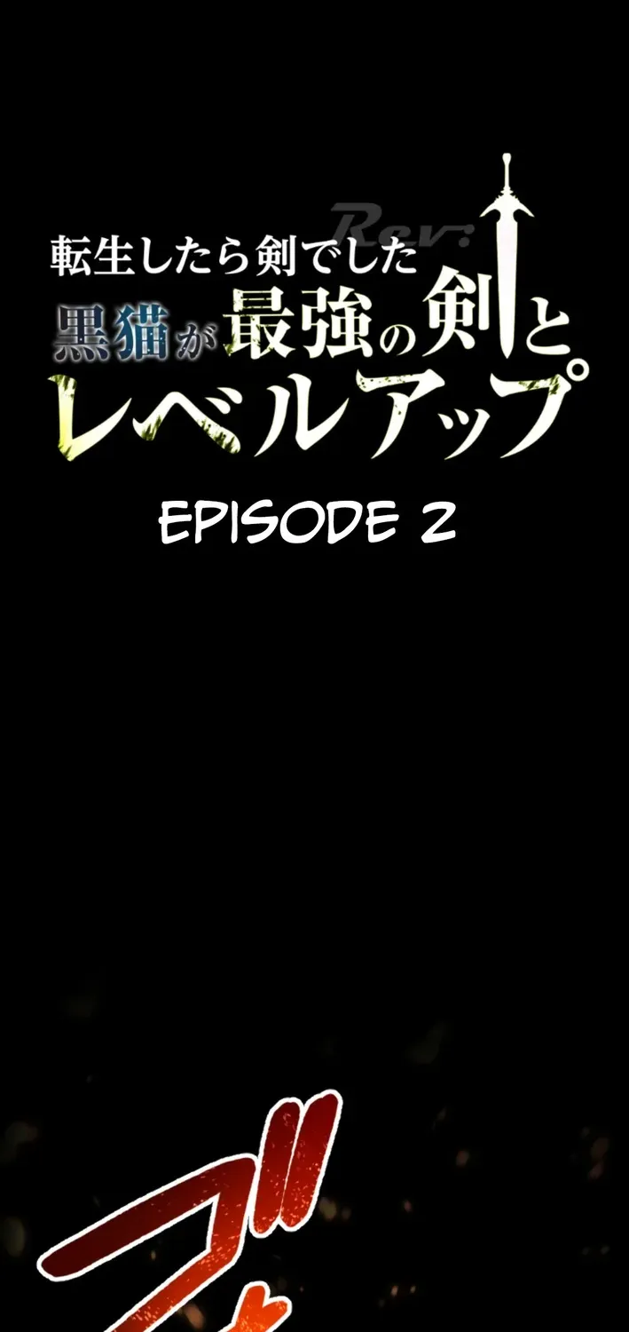 I Was a Sword When I Reincarnated (MangaToon) Chapter 2 page 2 - 