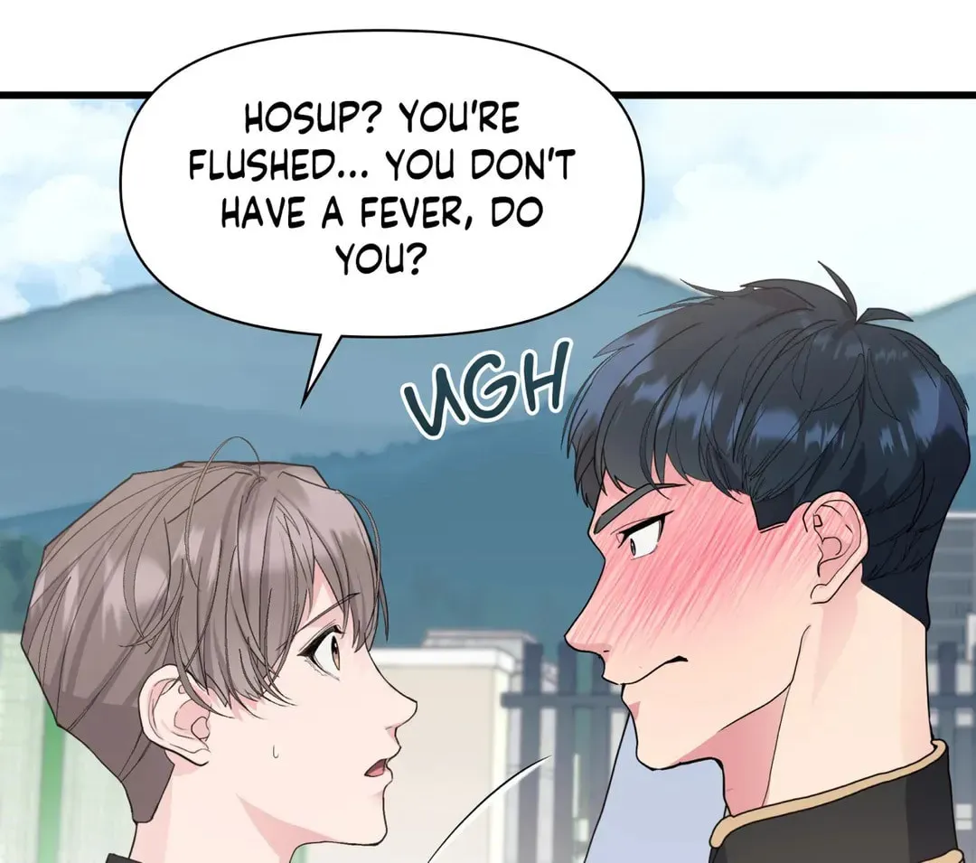 I Was Appointed as an Idol Chapter 13 page 17 - 