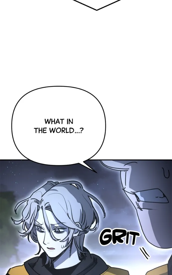 I Was Mistaken for the Villain Chapter 41 page 13 - 