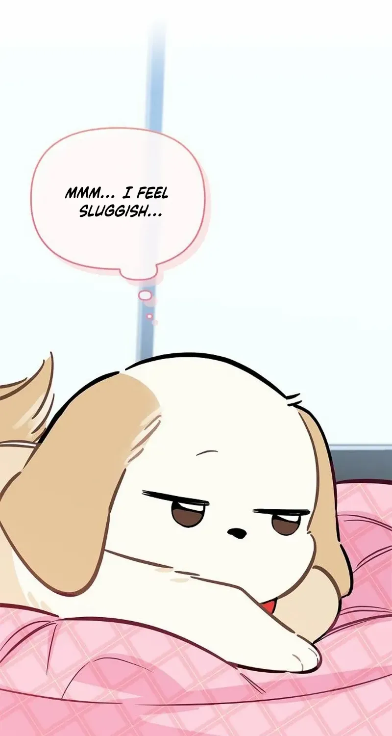 I will be your dog, President Chapter 21 page 31 - 