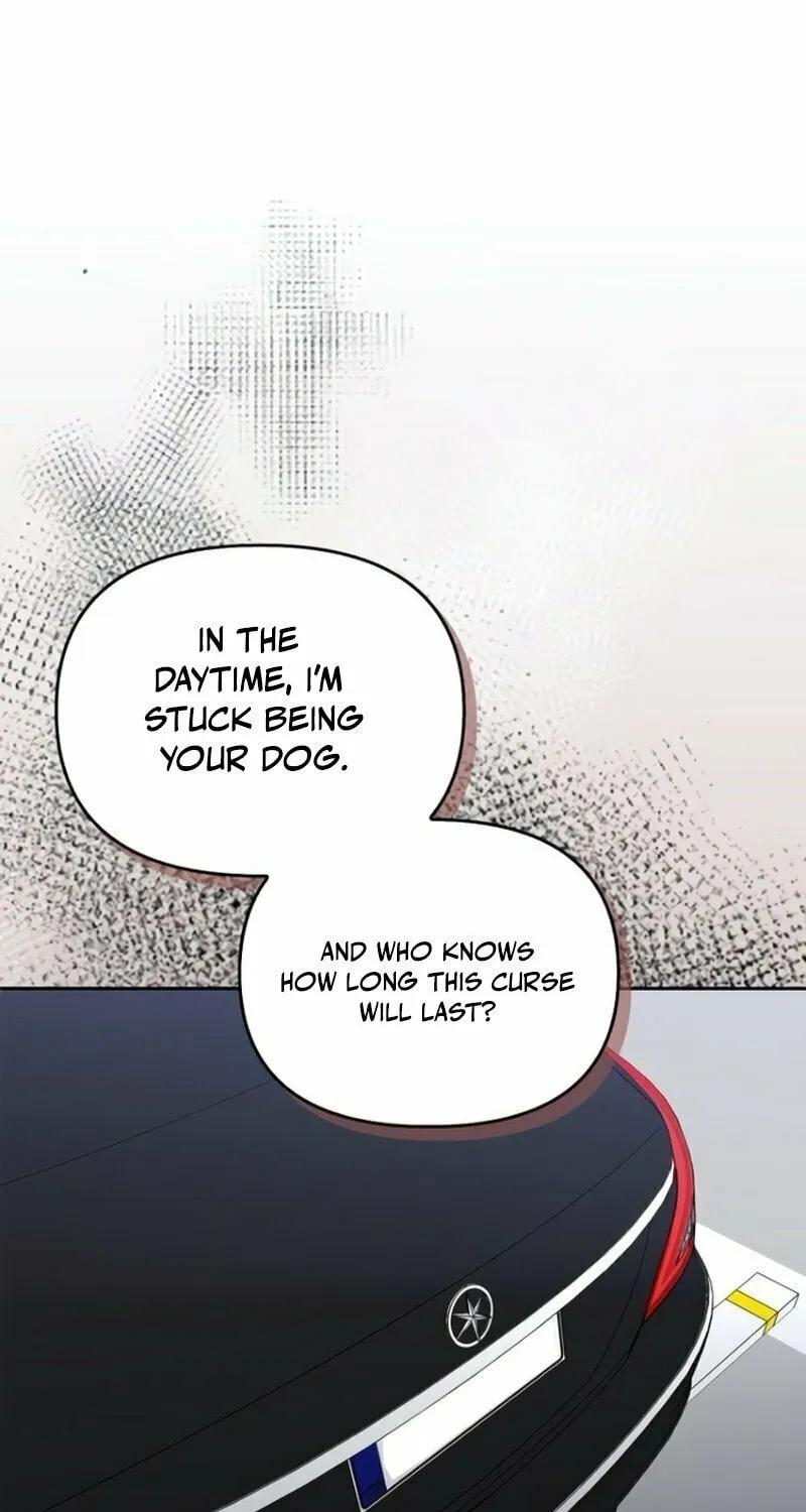 Read I Will Be Your Dog chapter 32 image 81 on Lezhin