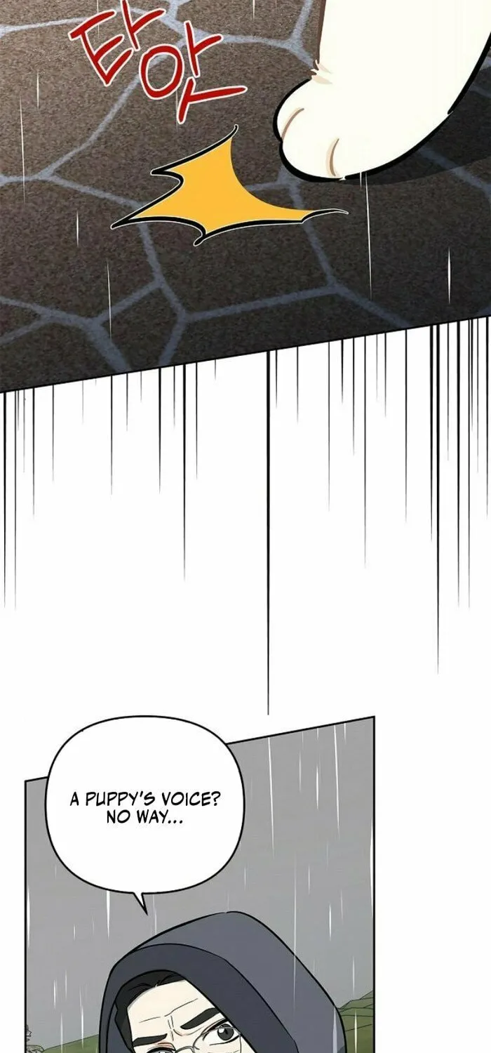 Read I Will Be Your Dog chapter 35 image 74 on Lezhin