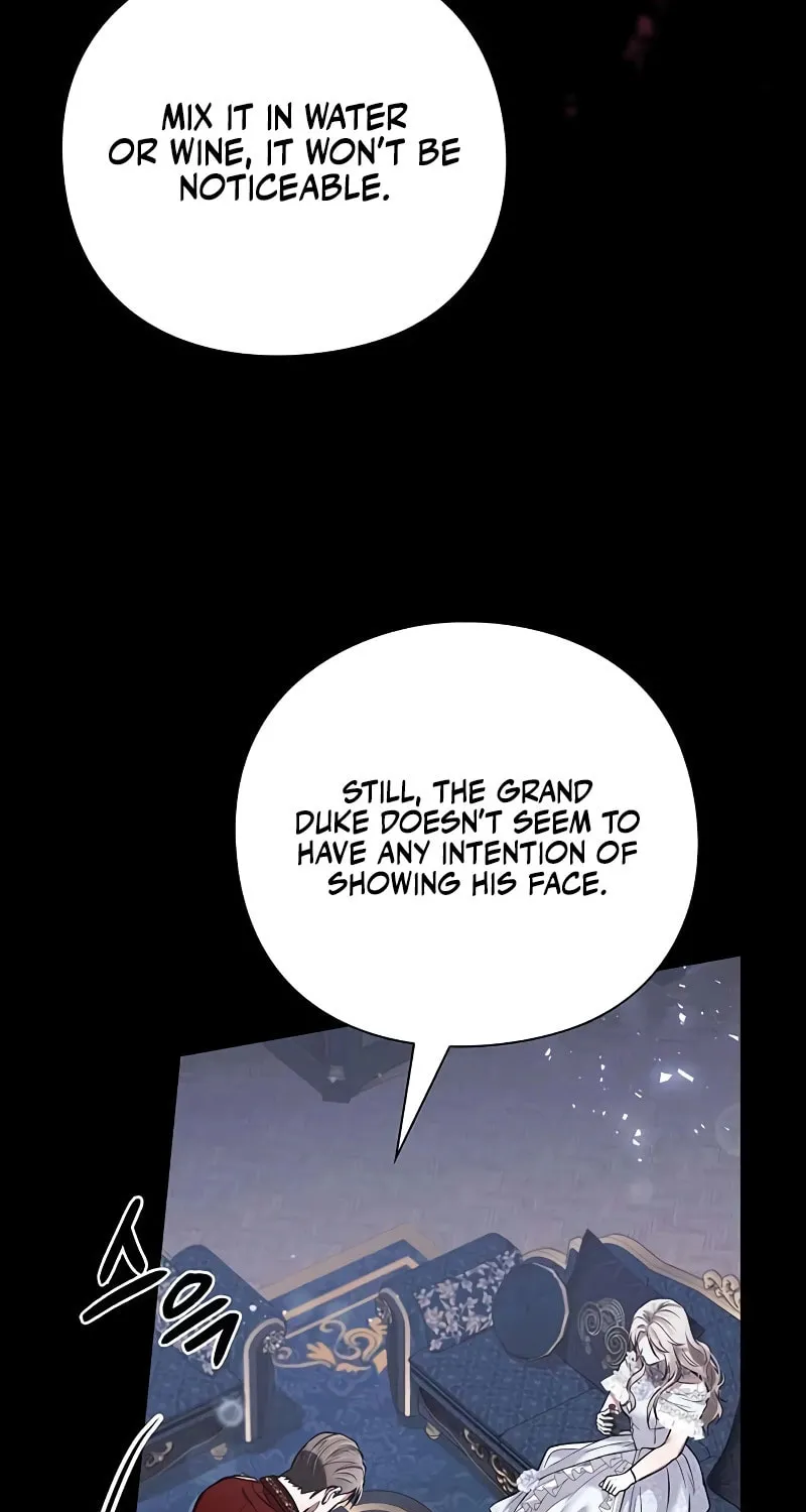 I Will Disappear, Grand Duke Chapter 2 page 15 - 