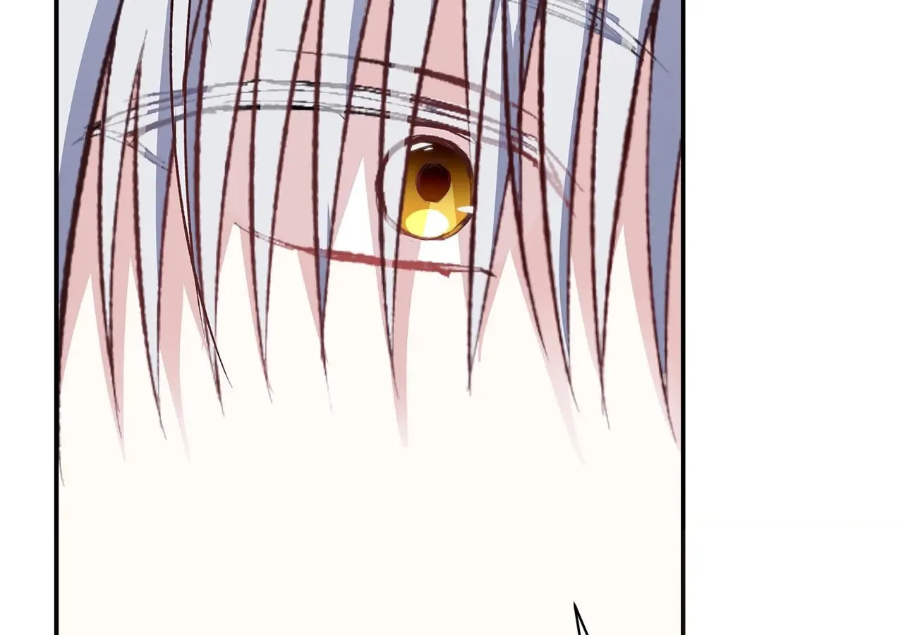 Read I Will Divorce the Duke chapter 11 image 131 on Lezhin