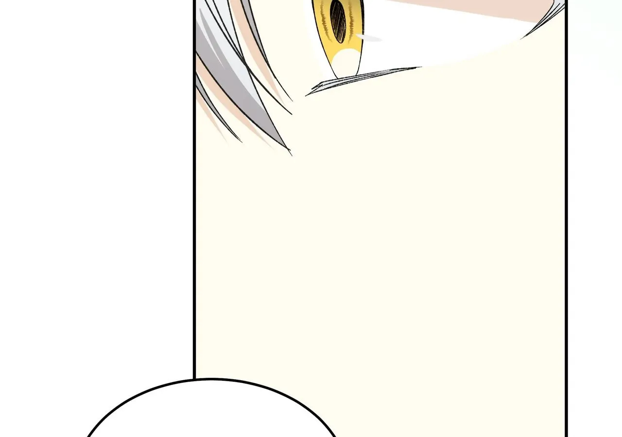 Read I Will Divorce the Duke chapter 32 image 24 on Lezhin