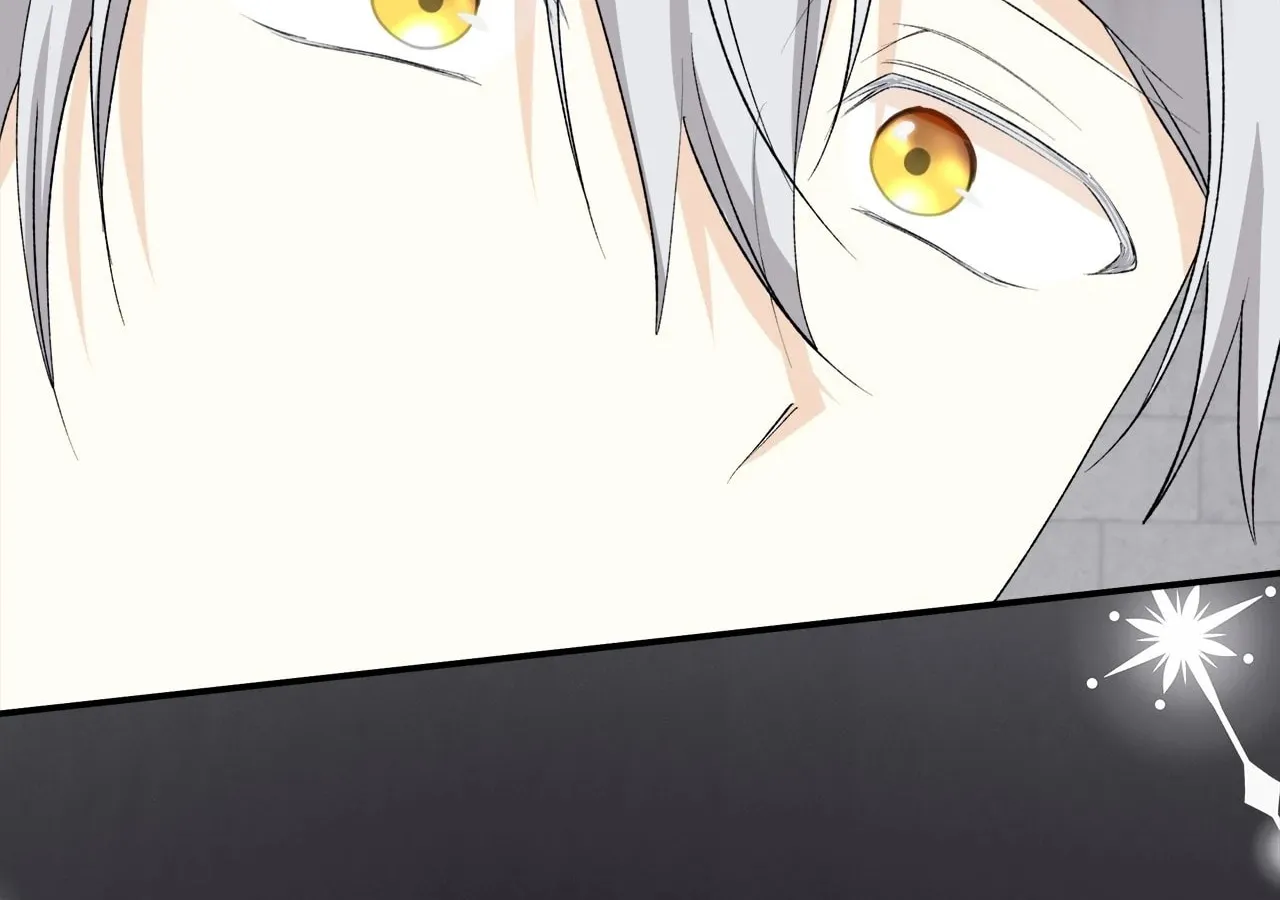 Read I Will Divorce the Duke chapter 40 image 133 on Lezhin