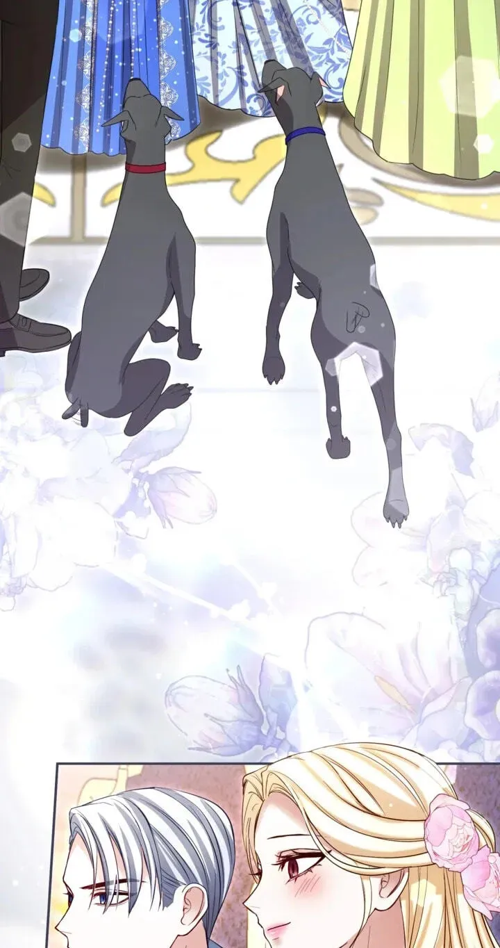 ‏I Will Fall With the Emperor Chapter 195 page 40 - 