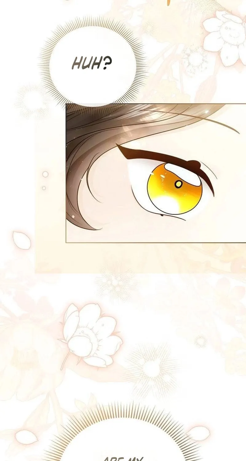 I Will Give Up the Position as the Empress Chapter 104 page 95 - 