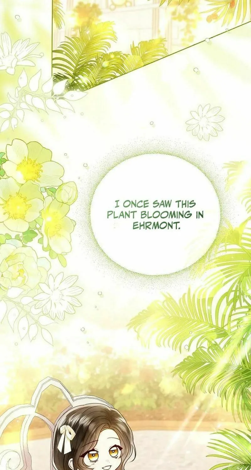 I Will Give Up the Position as the Empress Chapter 114 page 11 - 