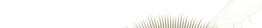 I Will Give Up the Position as the Empress Chapter 22 page 189 - 