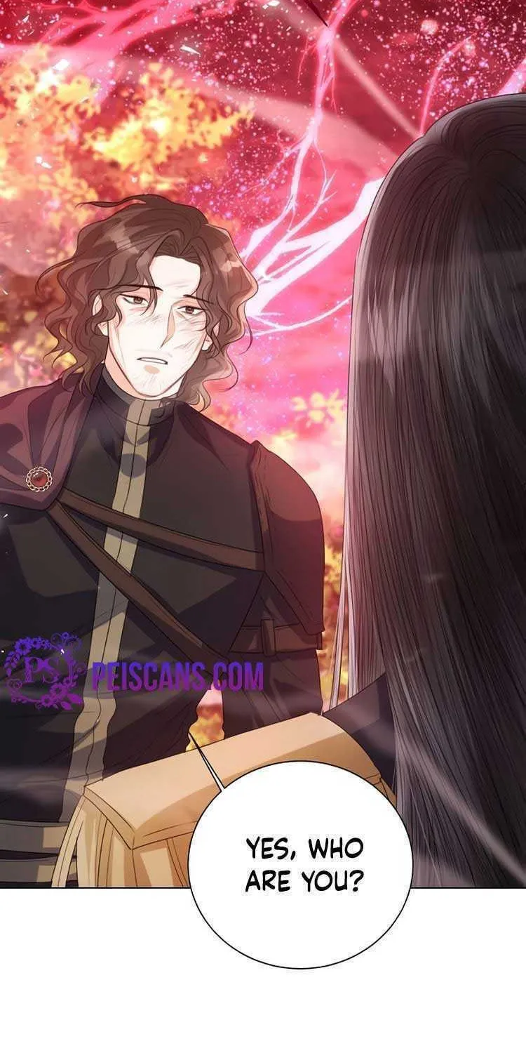 I Will Give Up the Position as the Empress Chapter 45 page 2 - 