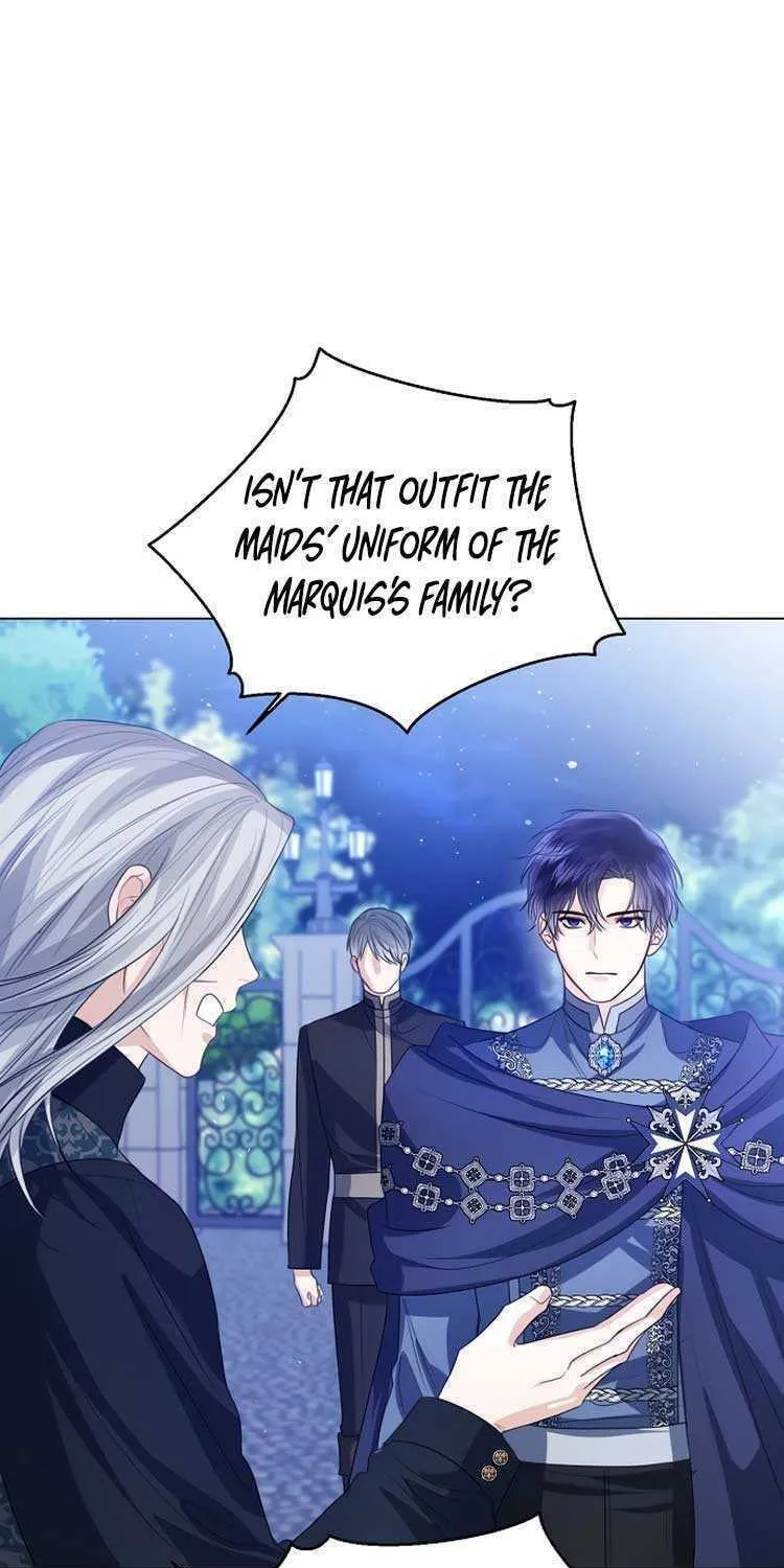 I Will Give Up the Position as the Empress Chapter 47 page 45 - 