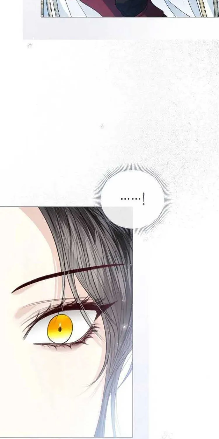 I Will Give Up the Position as the Empress Chapter 51 page 44 - 