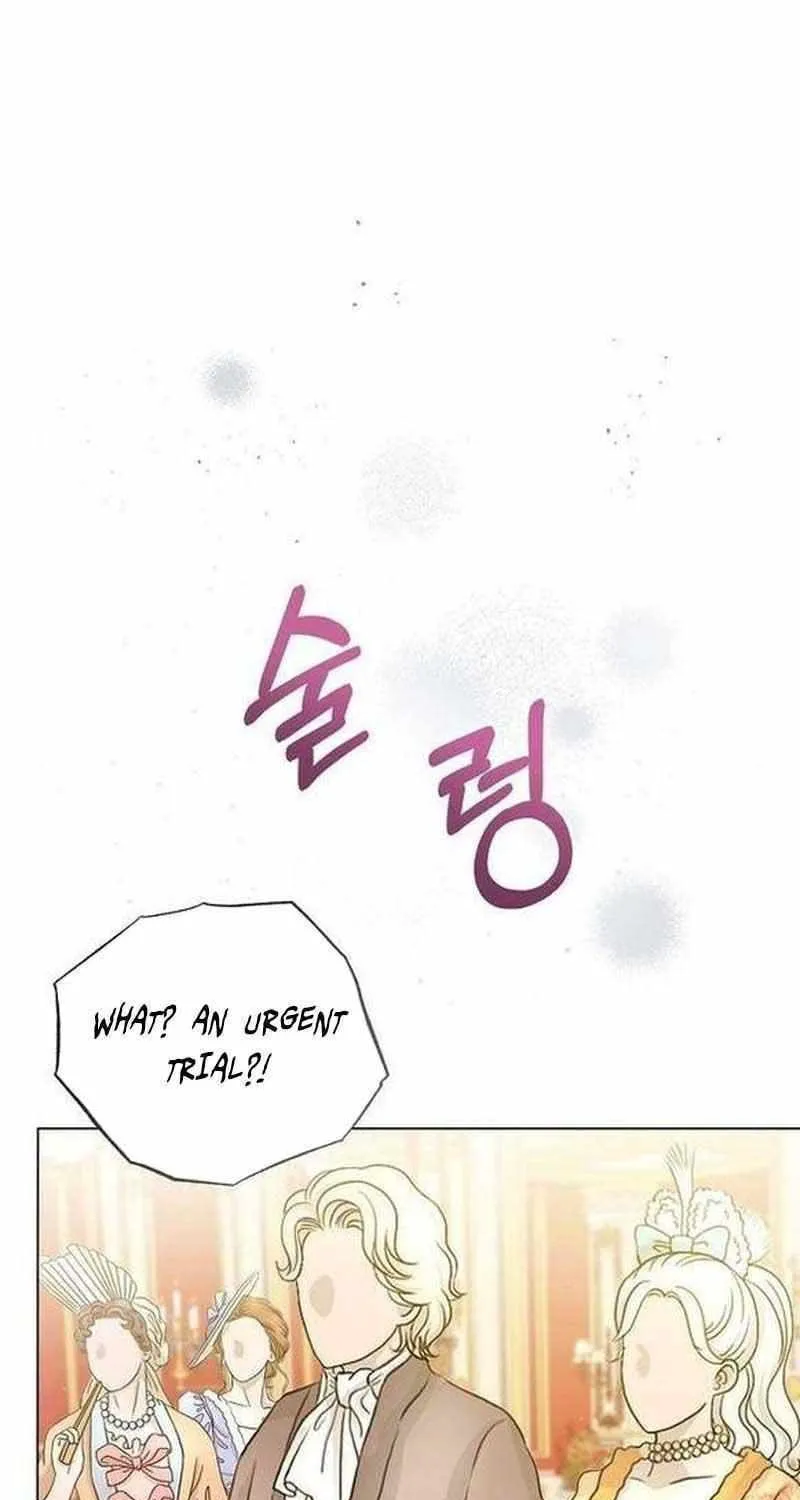 I Will Give Up the Position as the Empress Chapter 62 page 5 - 