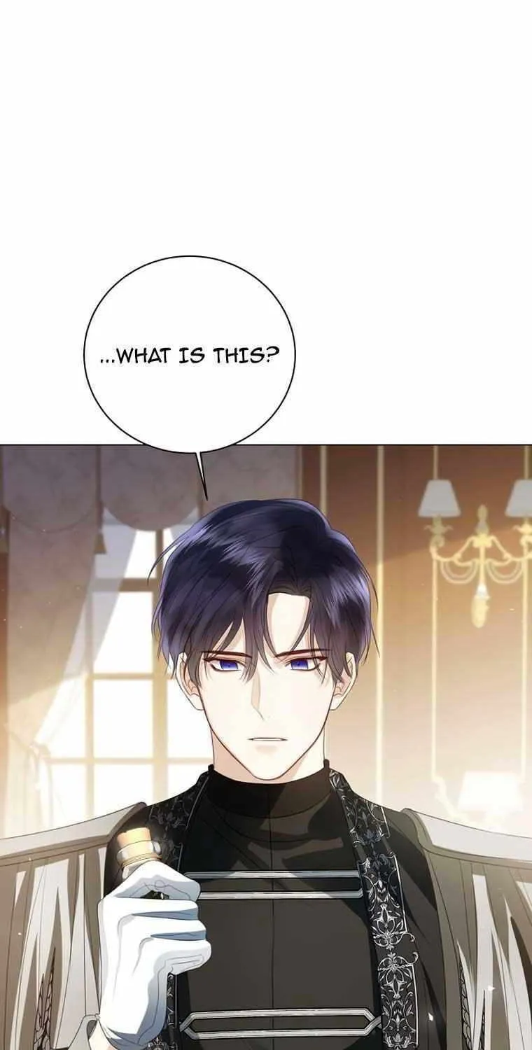 I Will Give Up the Position as the Empress Chapter 66 page 8 - 