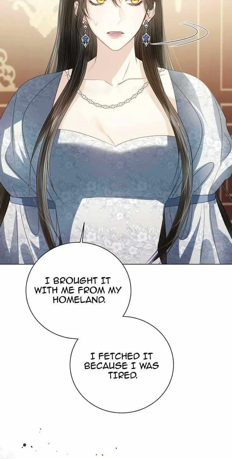 I Will Give Up the Position as the Empress Chapter 66 page 10 - 