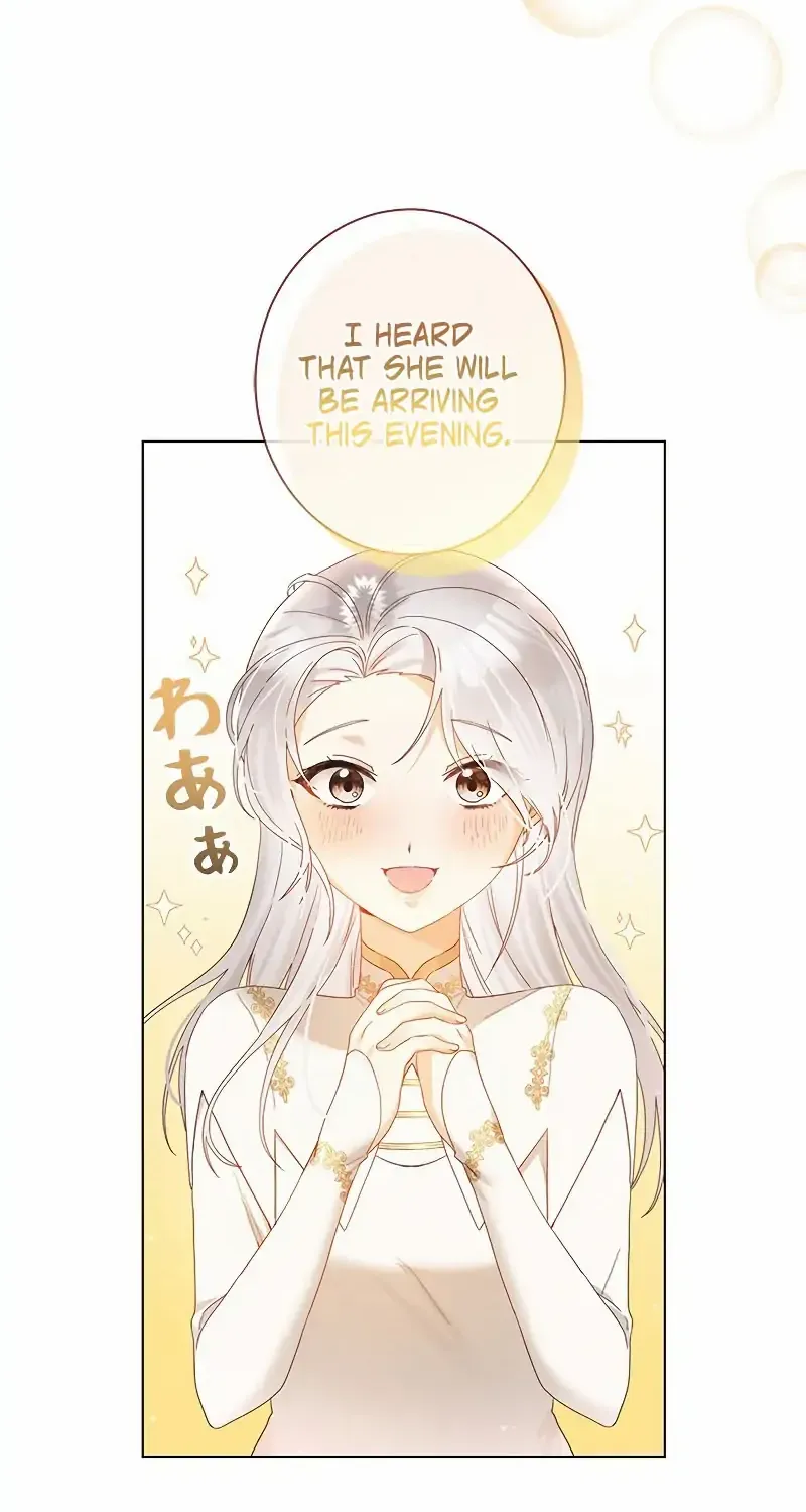 I Will Not Be The Supporting Character Forever Chapter 3 page 46 - 