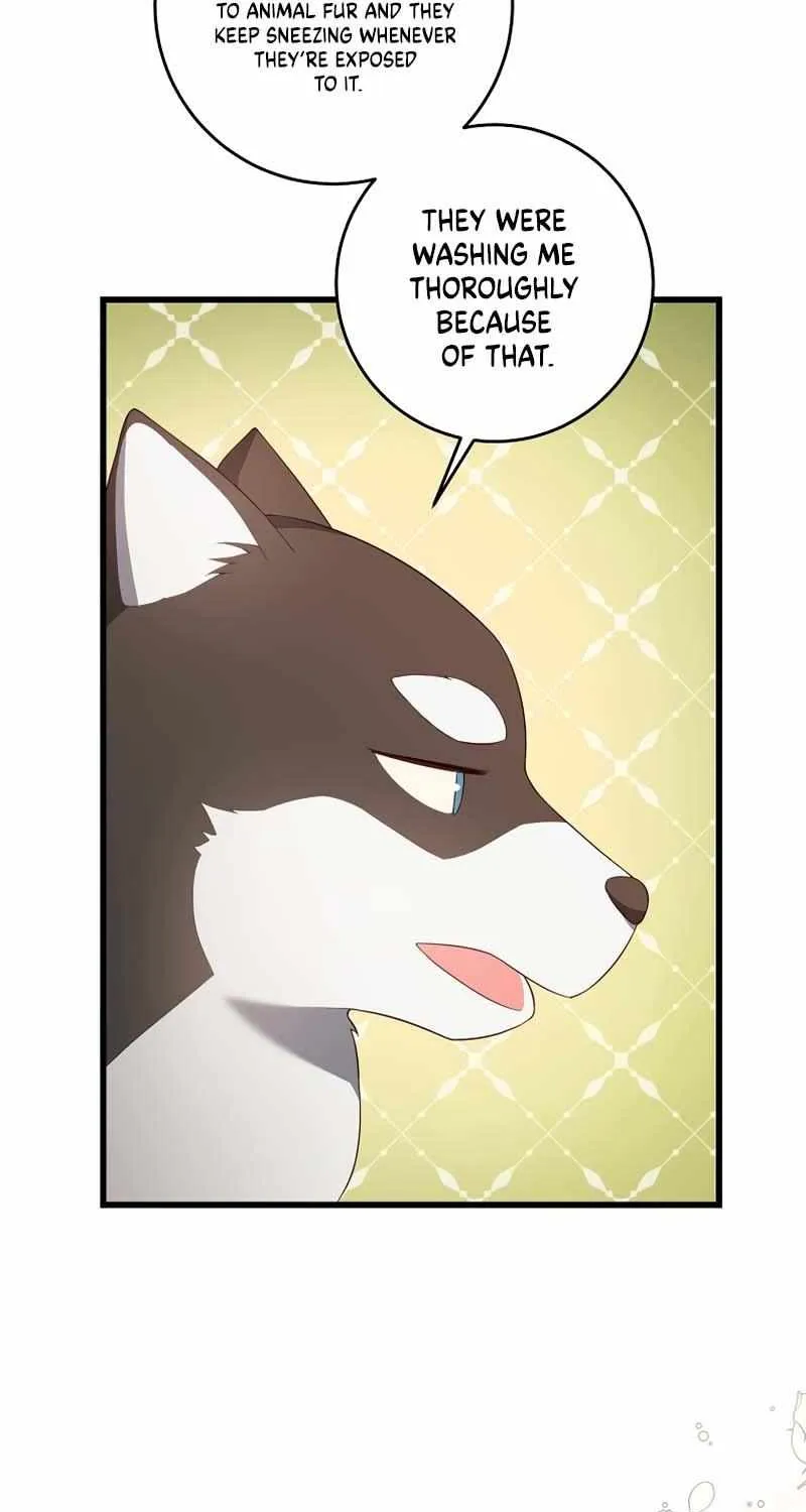 I Will Take The Duchy From Today Chapter 16 page 65 - 