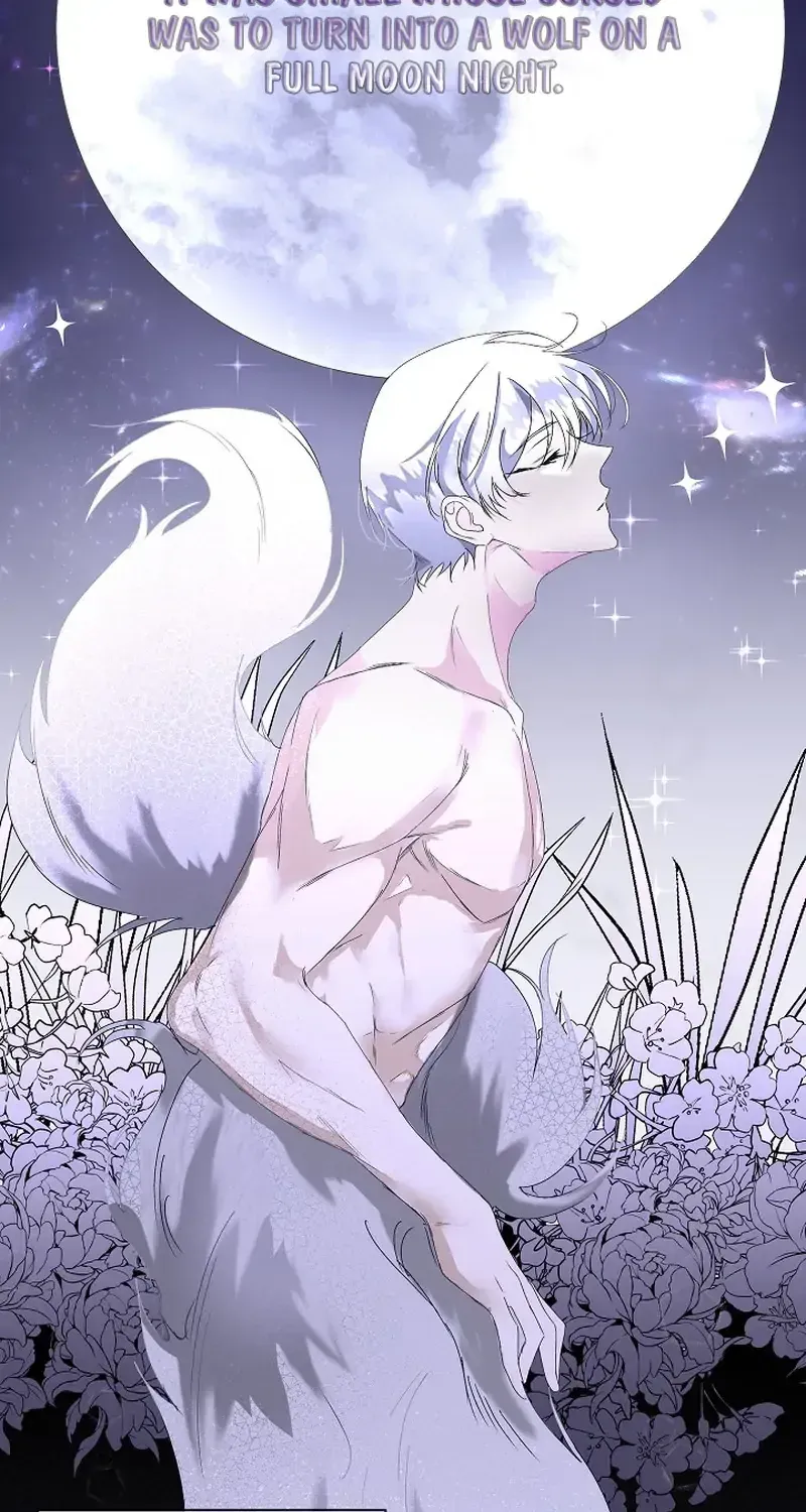 I will temporarily protect the male lead Chapter 0 page 16 - 
