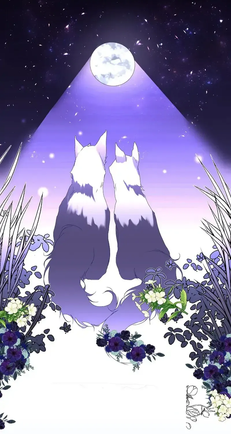 I will temporarily protect the male lead Chapter 0 page 24 - 