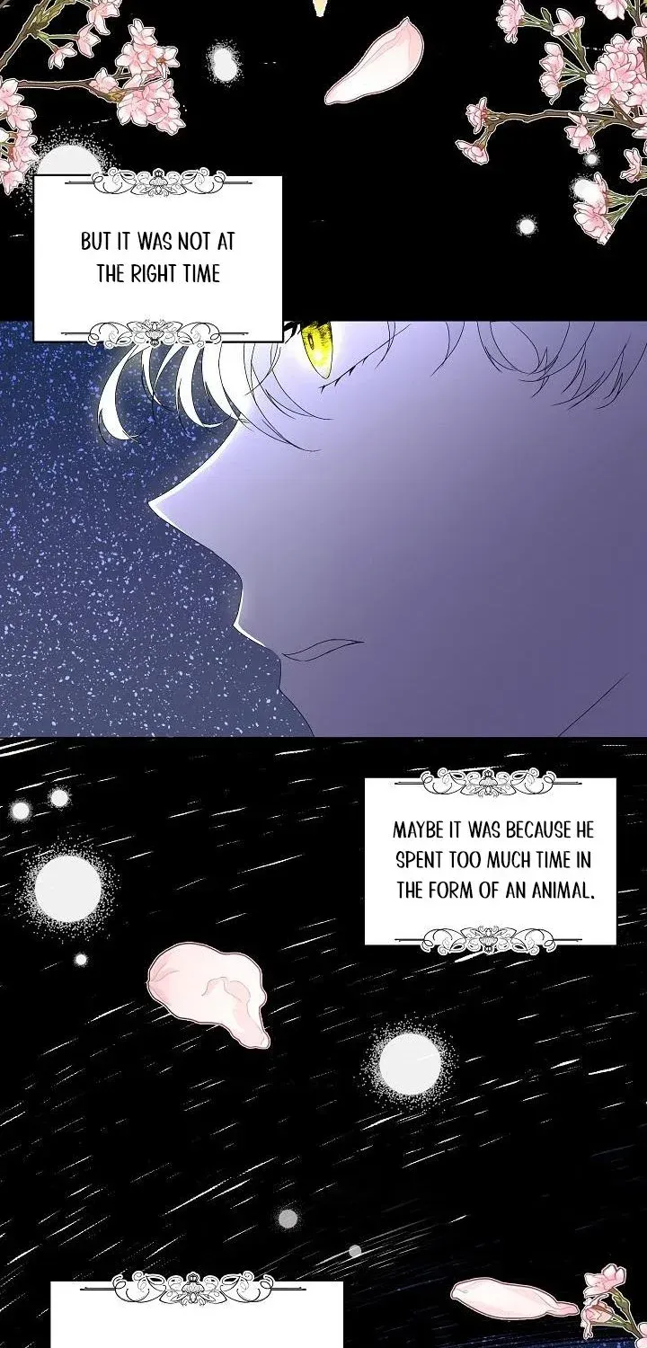 I will temporarily protect the male lead Chapter 1 page 71 - 