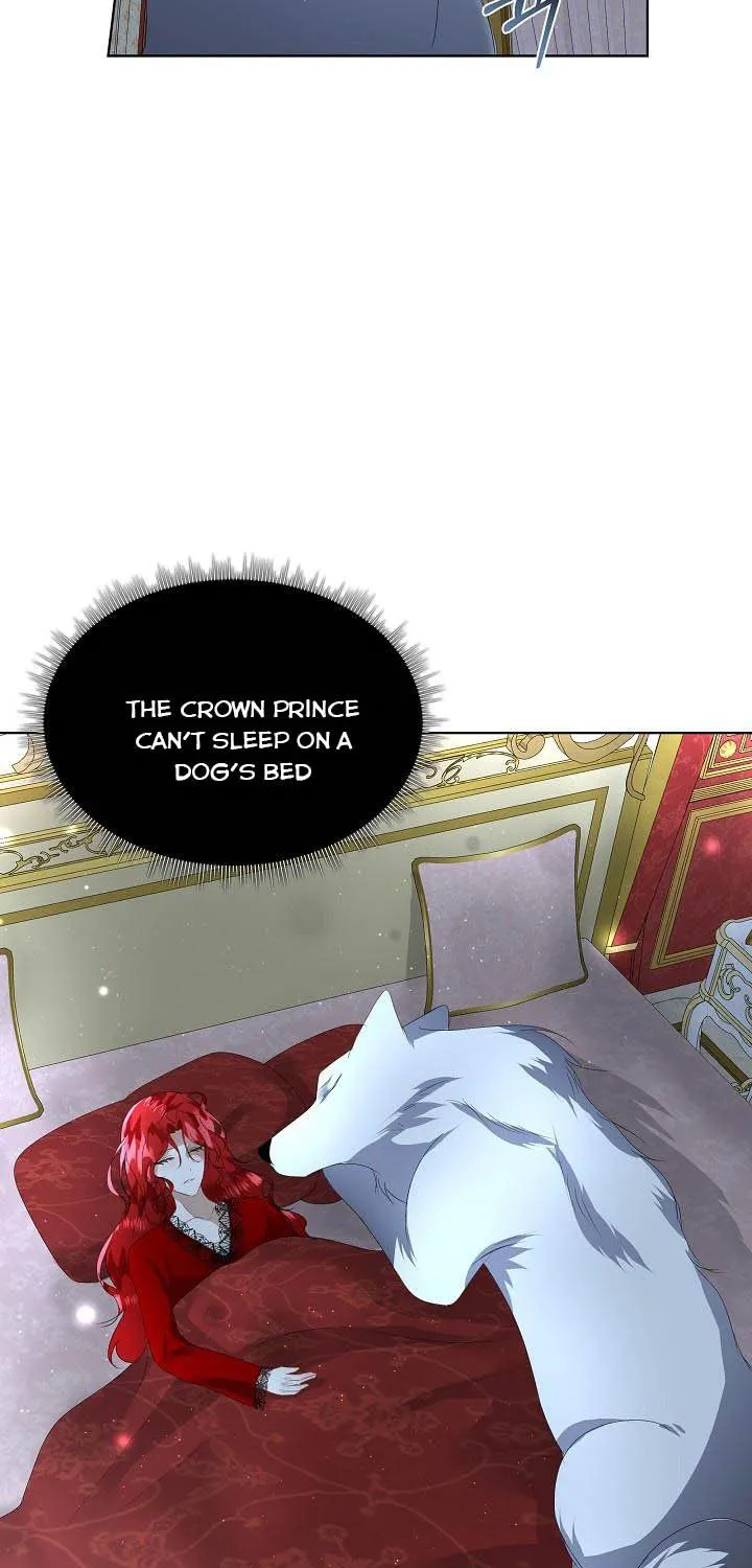 I will temporarily protect the male lead Chapter 10 page 107 - 