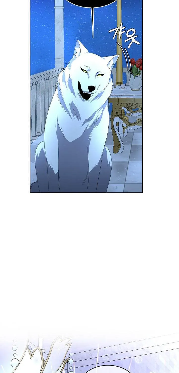 I will temporarily protect the male lead Chapter 10 page 19 - 