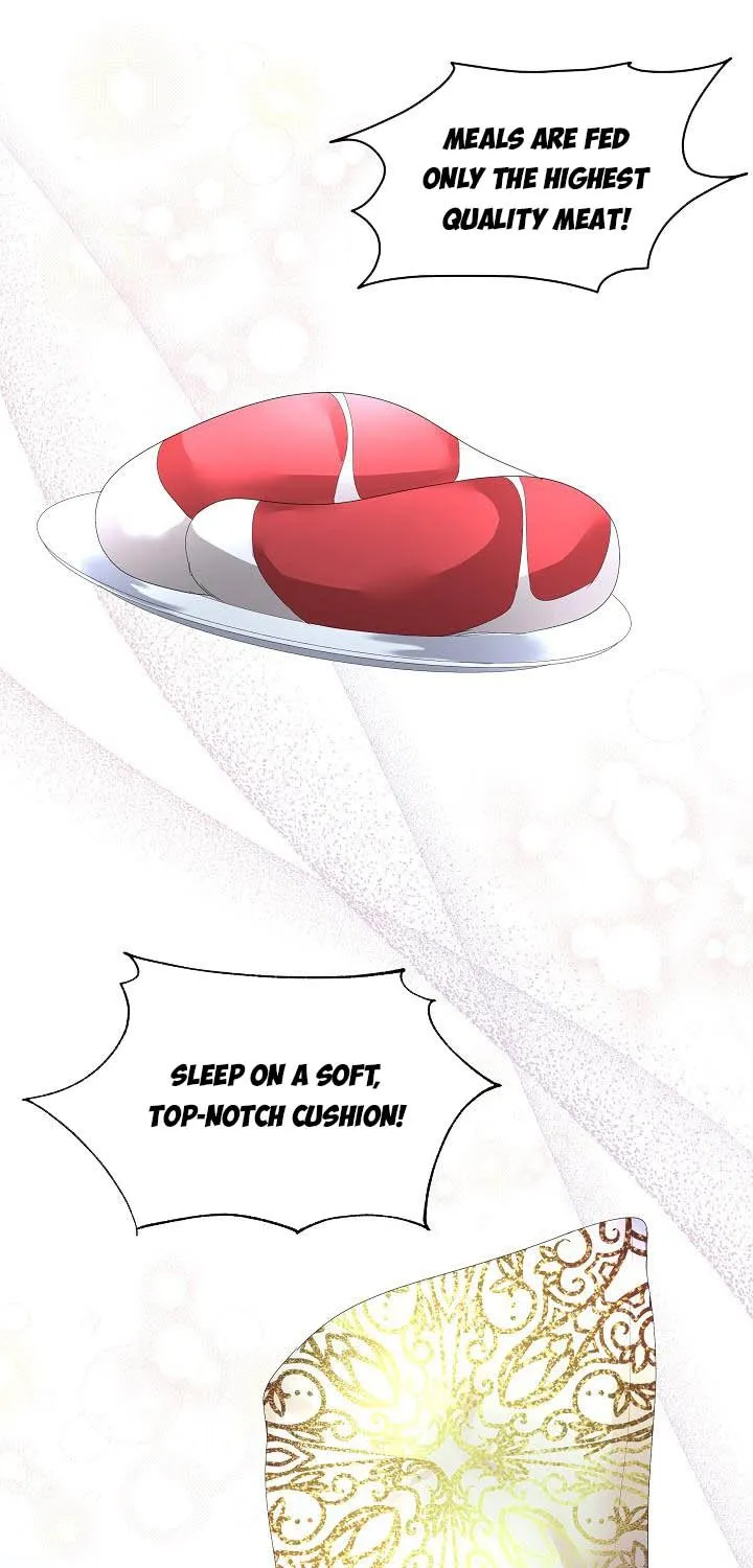 I will temporarily protect the male lead Chapter 10 page 35 - 