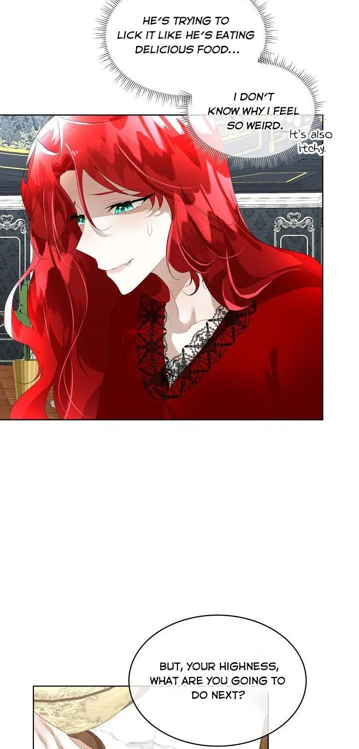 I will temporarily protect the male lead Chapter 11 page 41 - 
