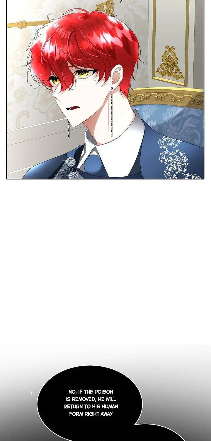 I will temporarily protect the male lead Chapter 14 page 17 - 