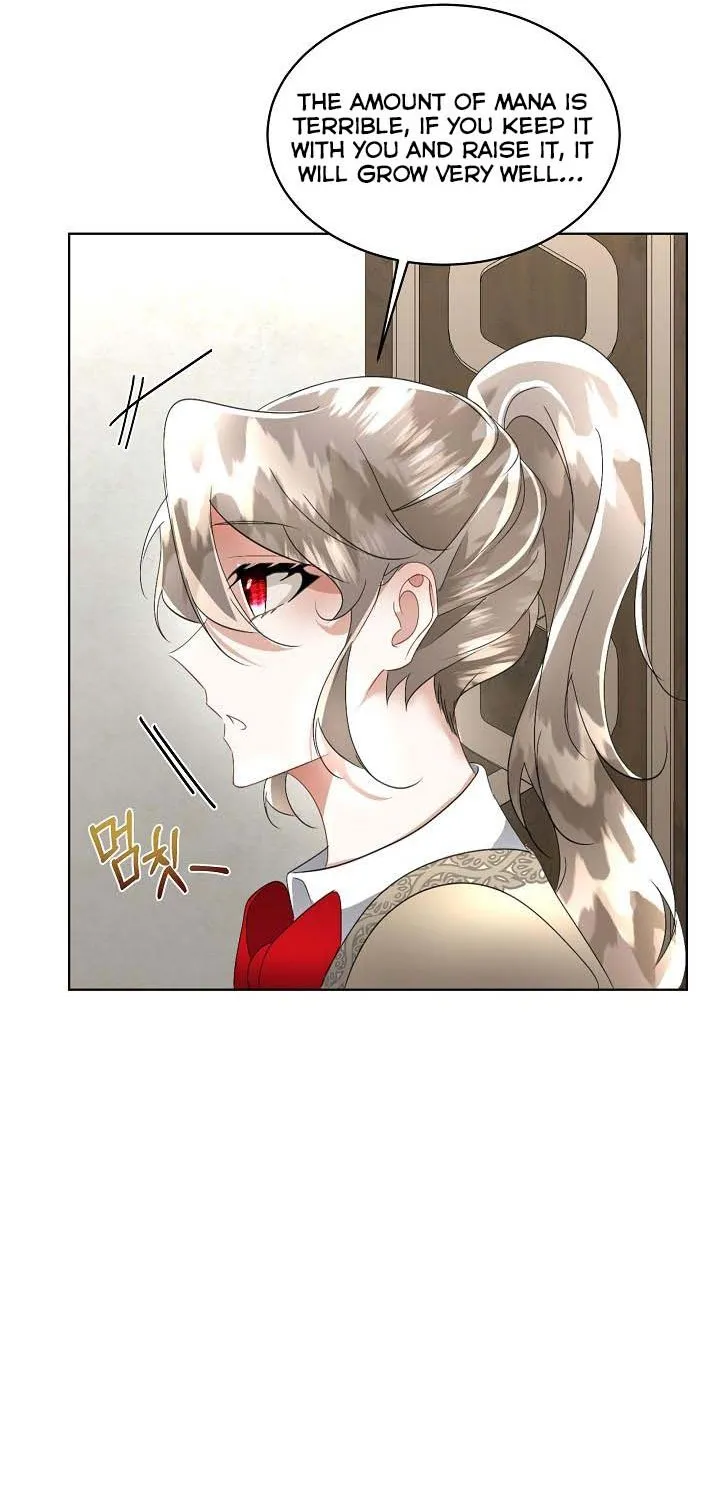 I will temporarily protect the male lead Chapter 18 page 17 - 