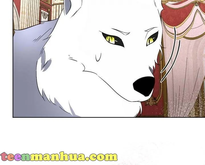I will temporarily protect the male lead Chapter 19 page 66 - 