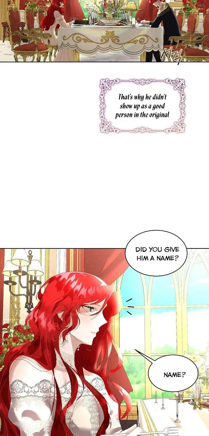 I will temporarily protect the male lead Chapter 2 page 47 - 