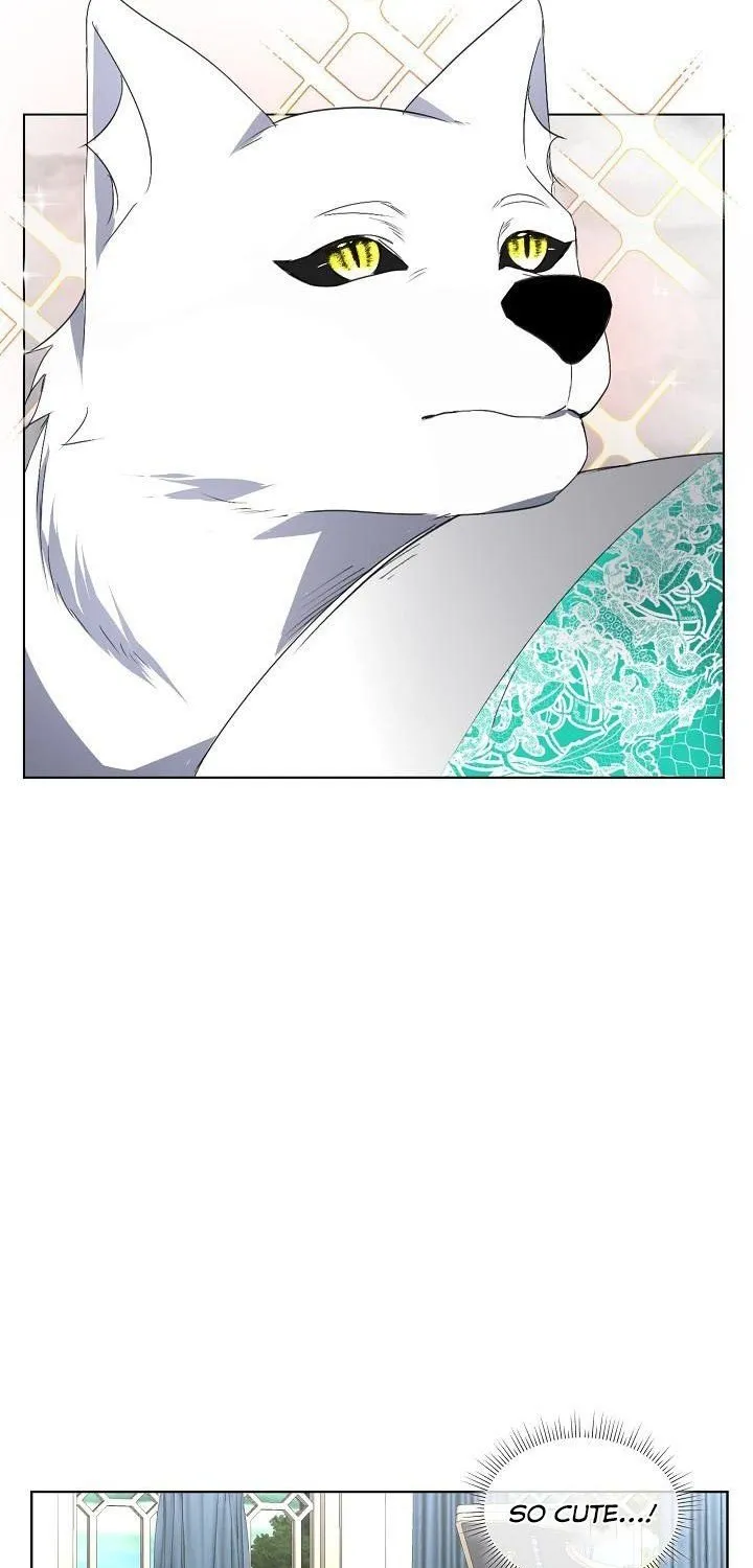 I will temporarily protect the male lead Chapter 20 page 13 - 