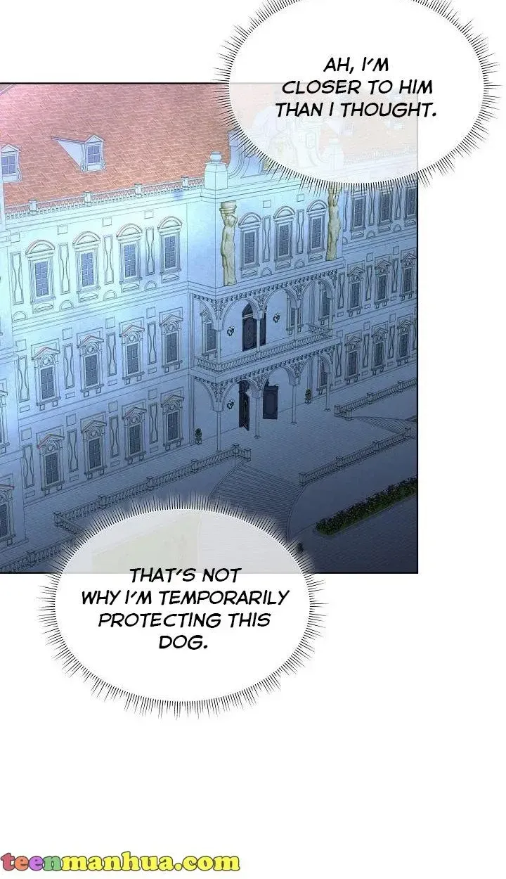 I will temporarily protect the male lead Chapter 23 page 8 - 