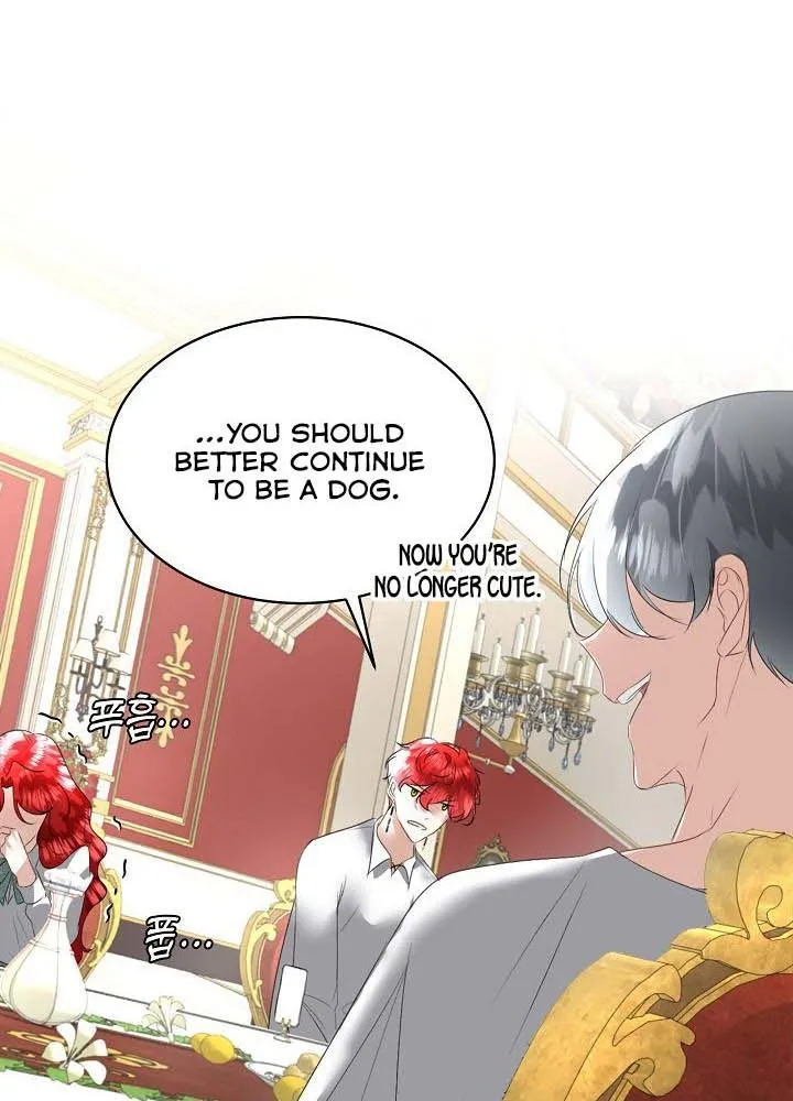 I will temporarily protect the male lead Chapter 25 page 14 - 