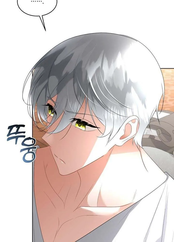 I will temporarily protect the male lead Chapter 25 page 66 - 