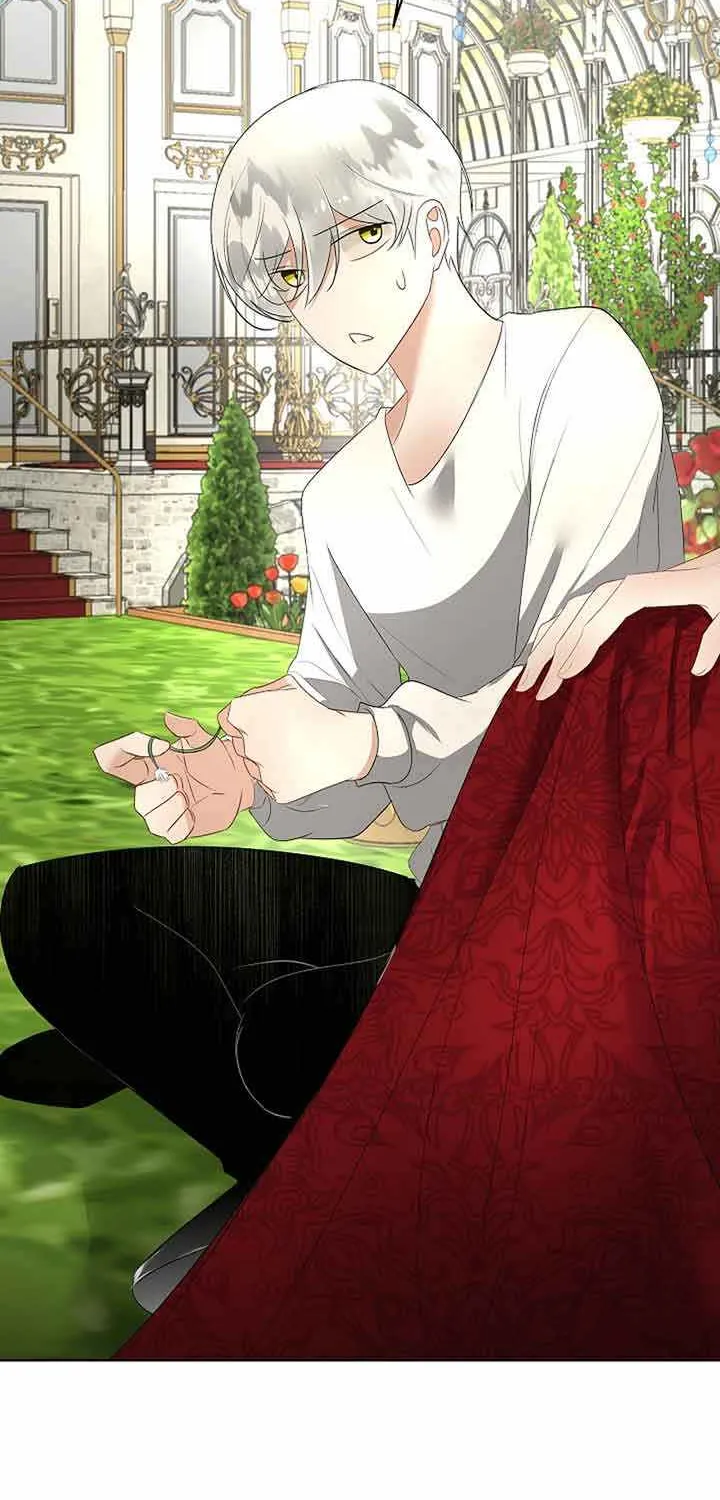 I will temporarily protect the male lead Chapter 28 page 34 - 