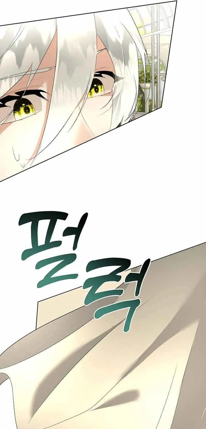 I will temporarily protect the male lead Chapter 28 page 9 - 