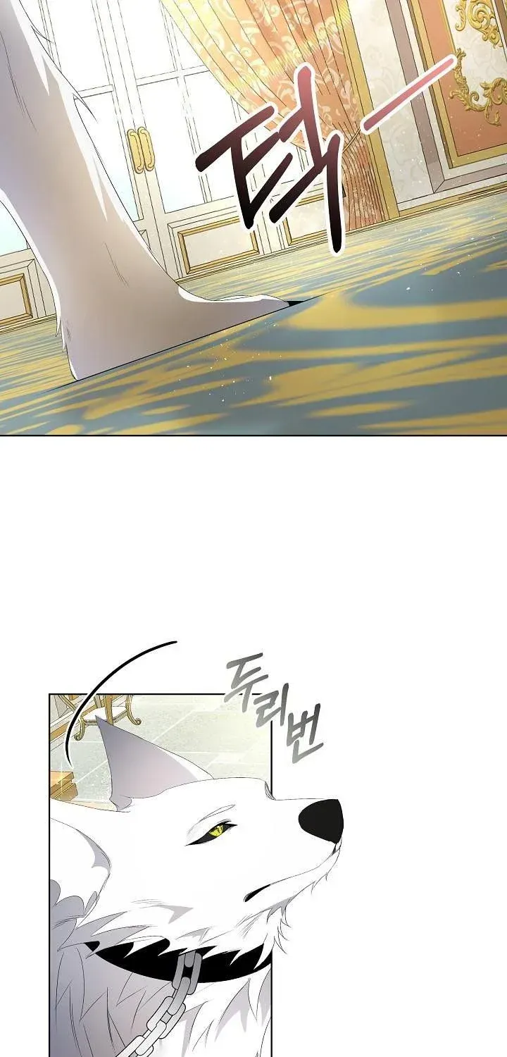 I will temporarily protect the male lead Chapter 3 page 5 - 
