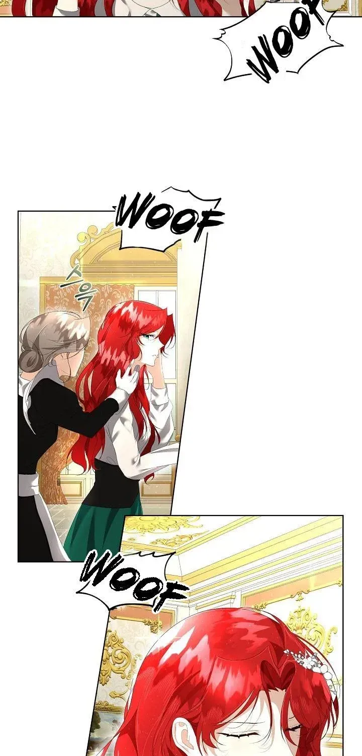 I will temporarily protect the male lead Chapter 3 page 63 - 