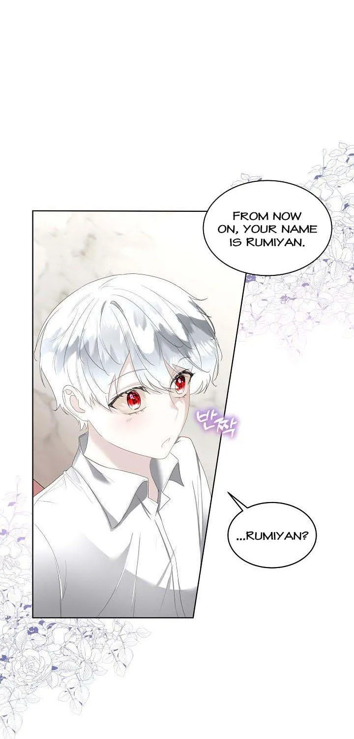 I will temporarily protect the male lead Chapter 33 page 33 - 